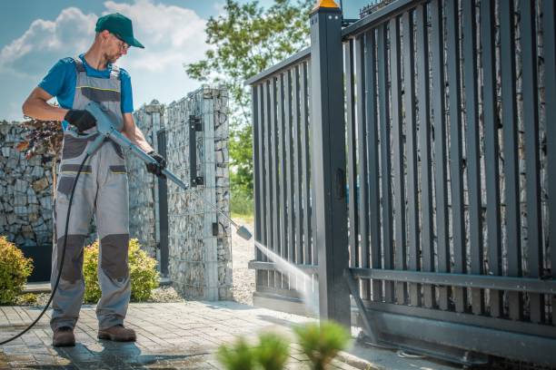 Best Spring Cleaning  in Swanton, OH