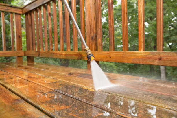 Best Dumpster Area Cleaning  in Swanton, OH